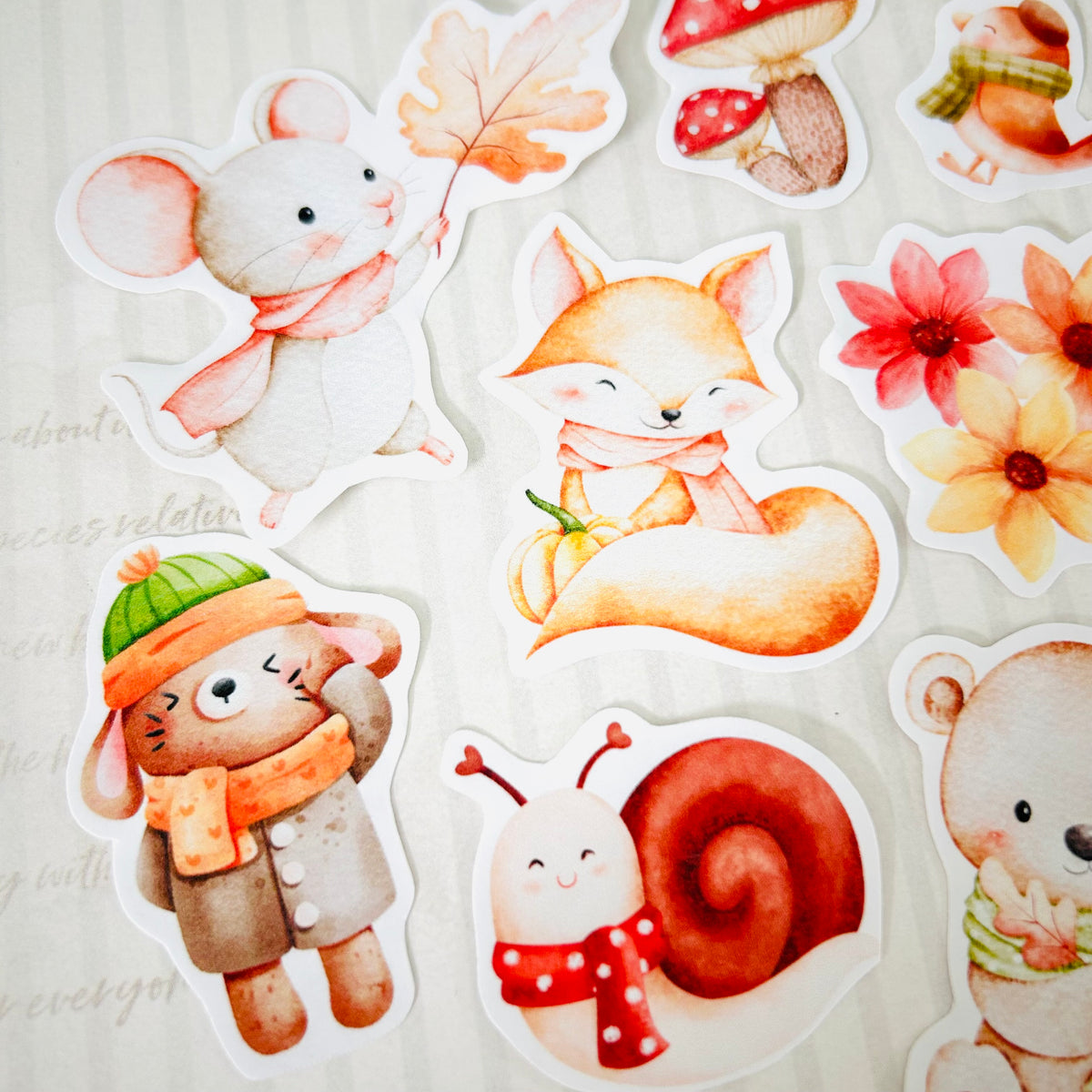 Fall Furries StiKars (Set of 8)
