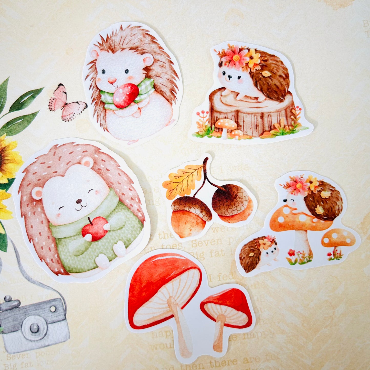 Happy Hedgehogs StiKars (Set of 6)