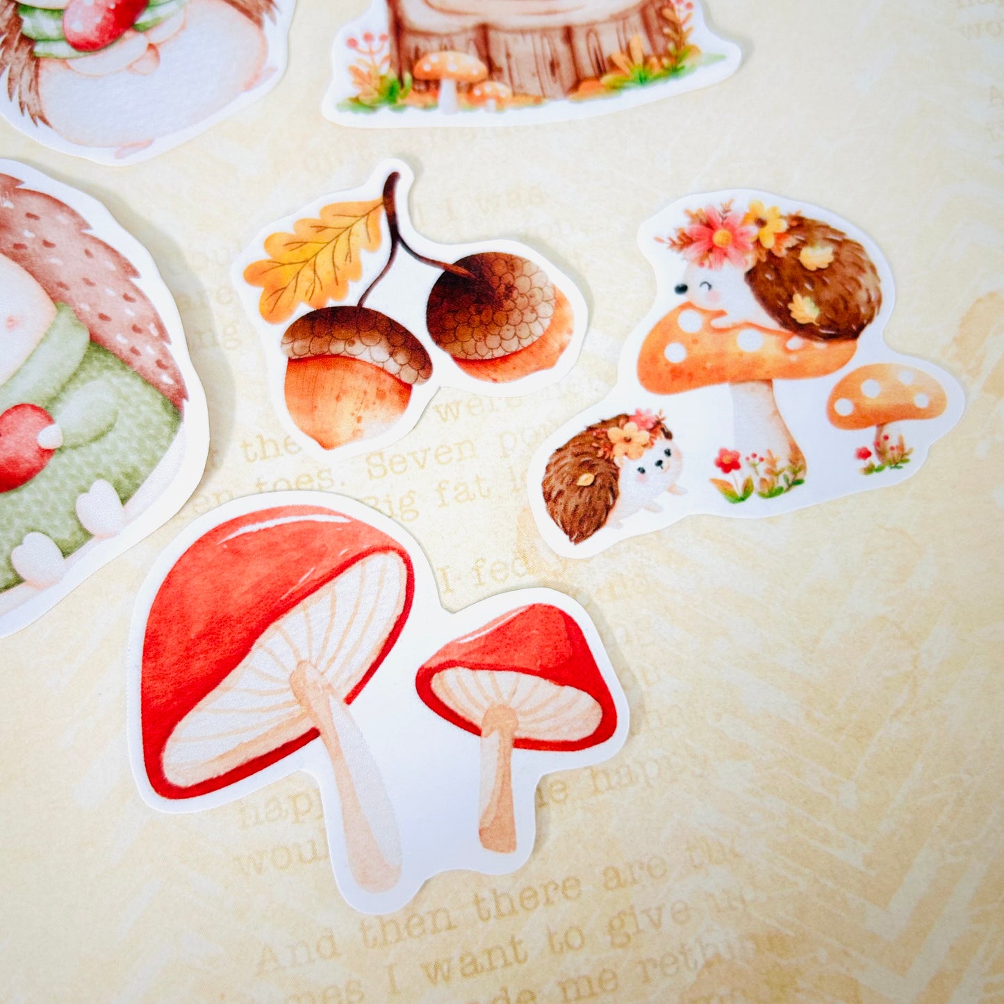 Happy Hedgehogs StiKars (Set of 6)