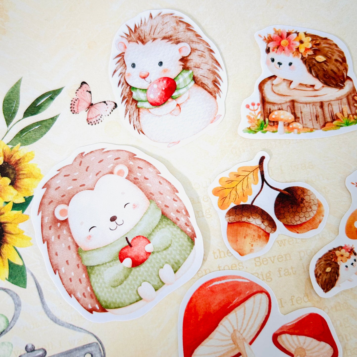 Happy Hedgehogs StiKars (Set of 6)