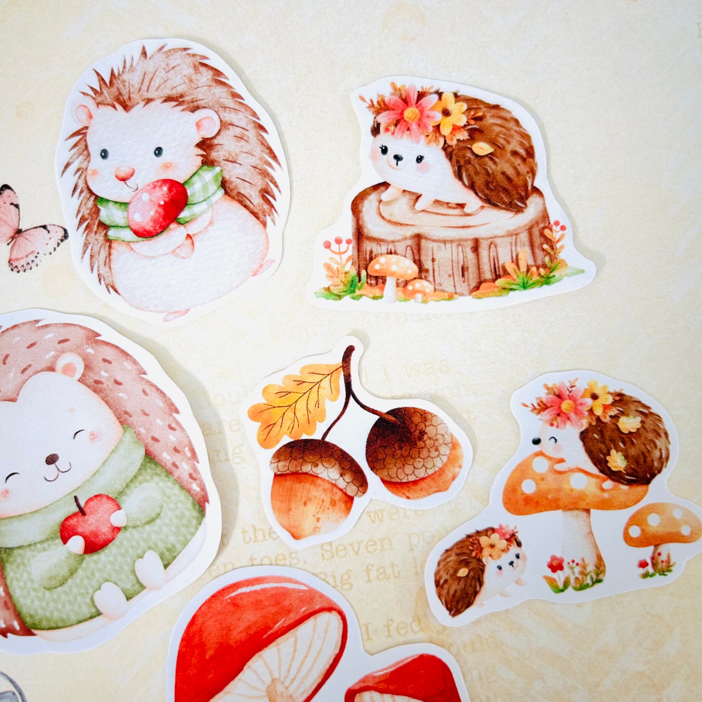 Happy Hedgehogs StiKars (Set of 6)