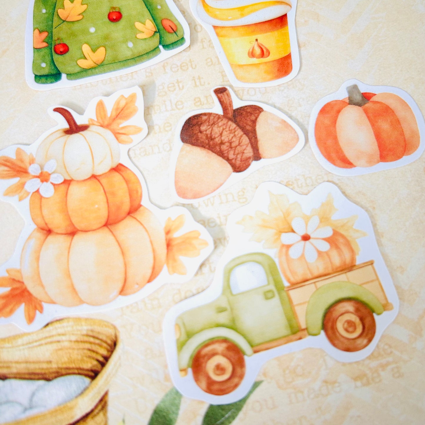 Pine & Pumpkin StiKars (Set of 6)