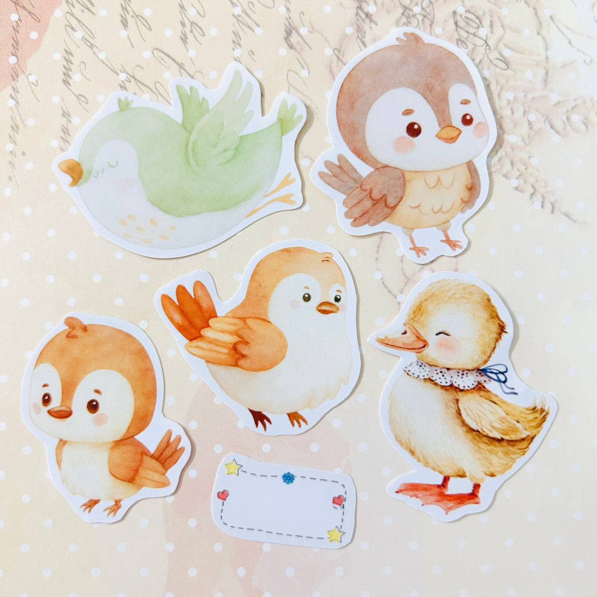 Bubbly Birds StiKars (Set of 6)