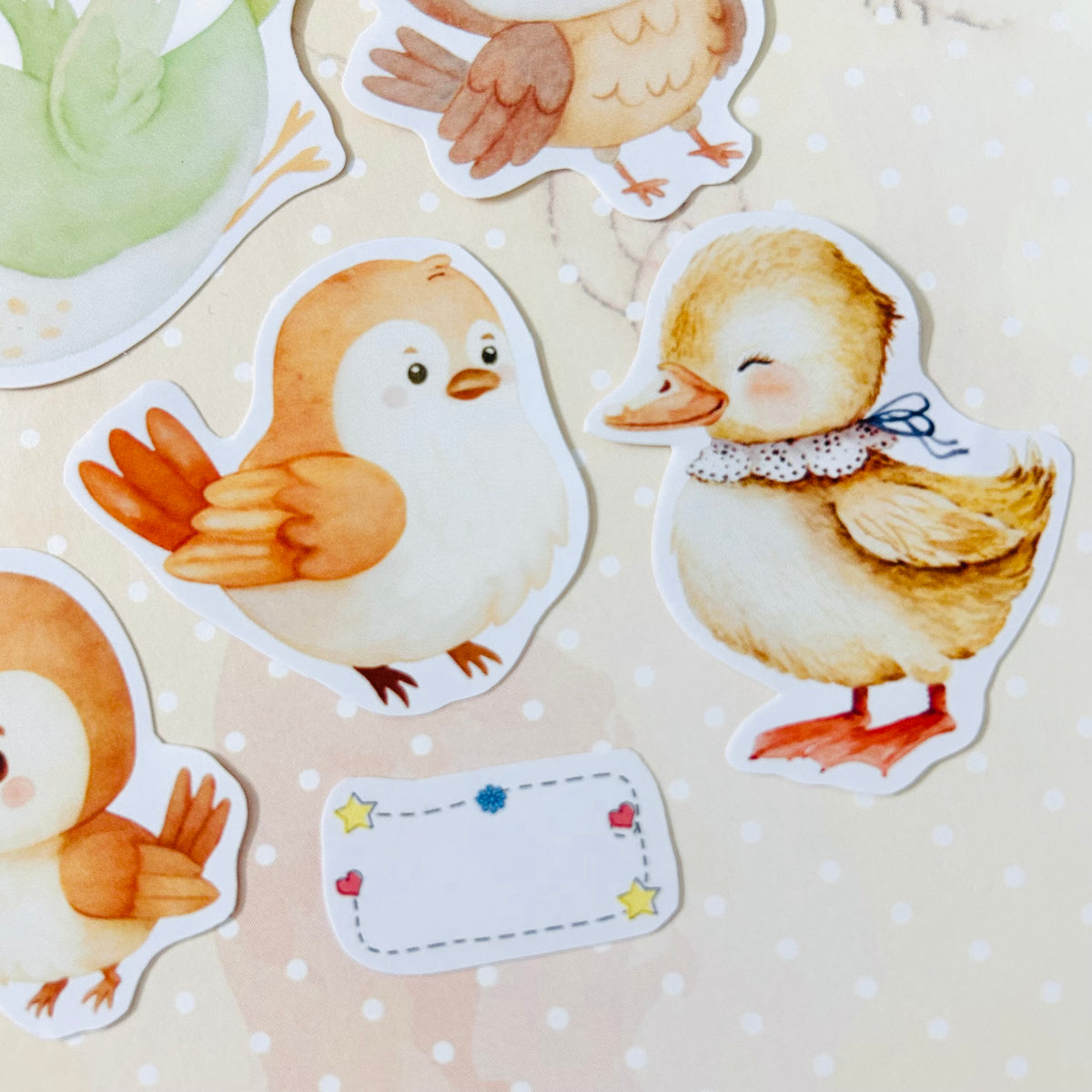 Bubbly Birds StiKars (Set of 6)