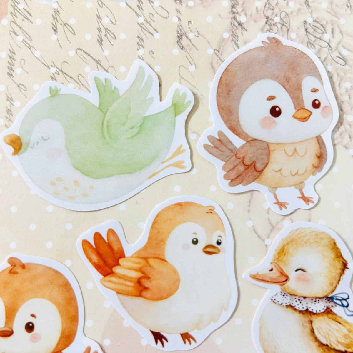 Bubbly Birds StiKars (Set of 6)