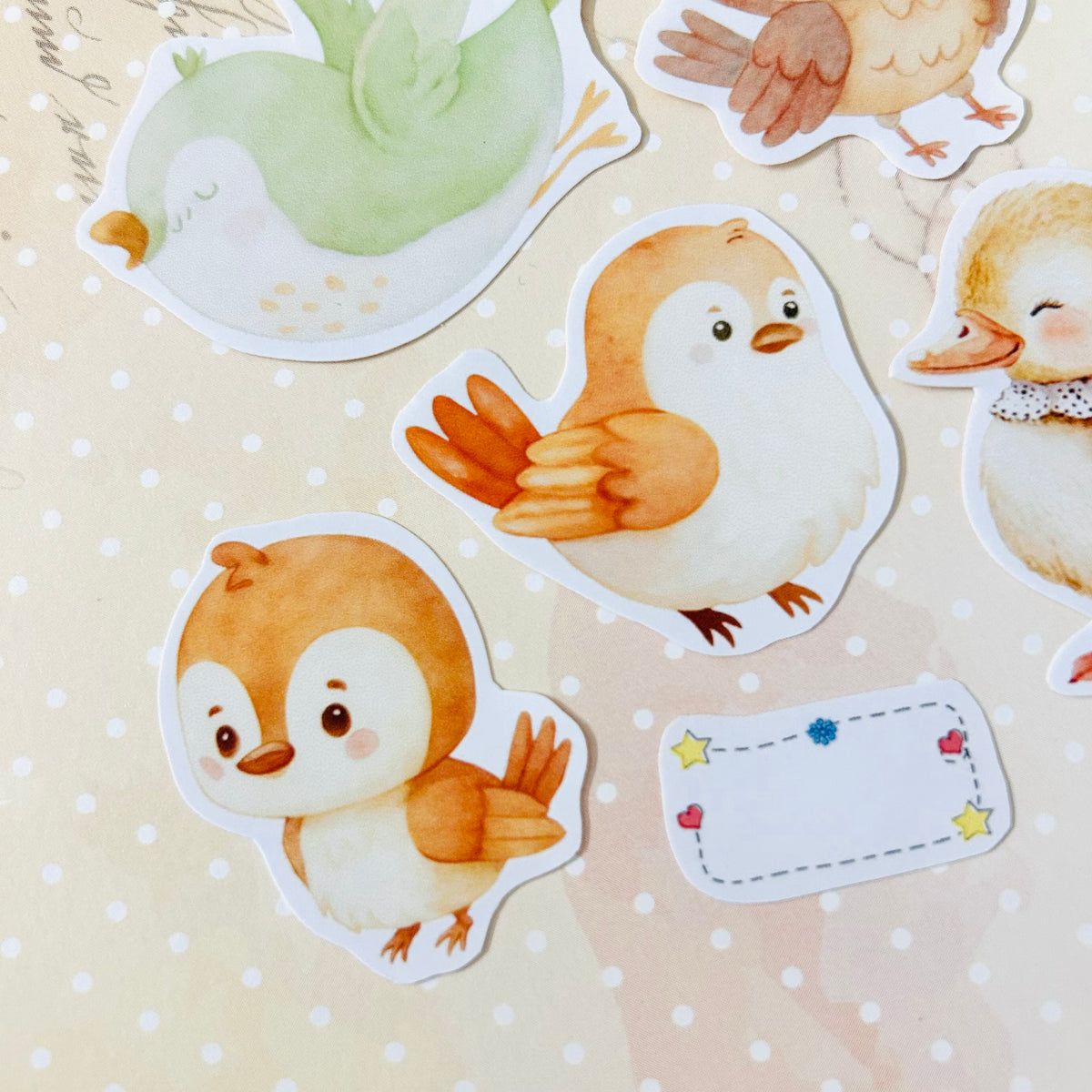 Bubbly Birds StiKars (Set of 6)